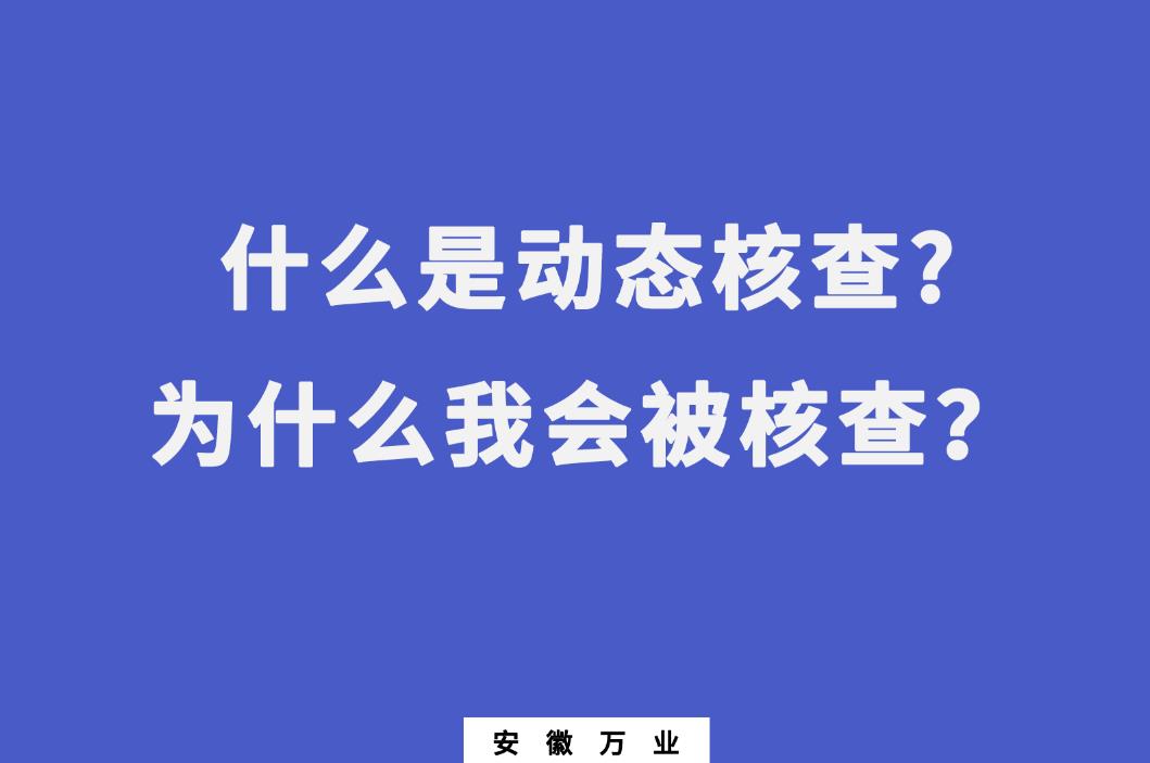 什么是動態核查?為什么我會被核查？